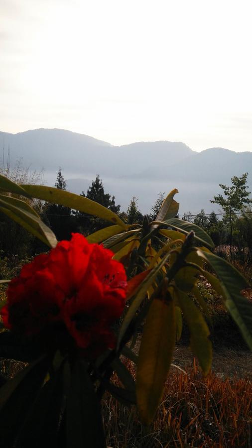 Готель Neora Valley Retreat Rishop Екстер'єр фото