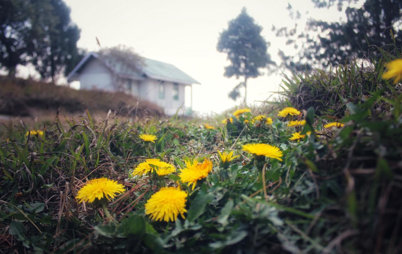 Готель Neora Valley Retreat Rishop Екстер'єр фото